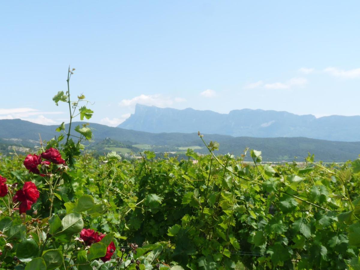 Suze La Bouillarde Bed & Breakfast エクステリア 写真